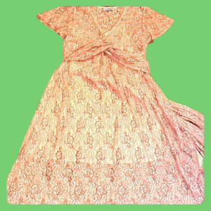 ASOS Coral Color Floral Lace Dress